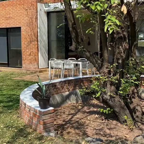 Terraza con jardín y árbol frondoso